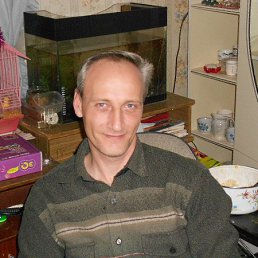 ���� ����, ���������, 54 ���� - ��������� 24 ������� 2015