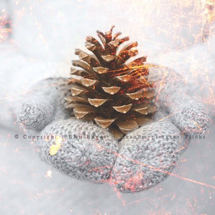 -     ,     .    - 2