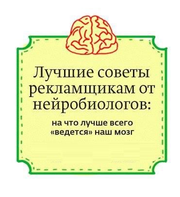 BEST | , ,  - 18  2015  13:48