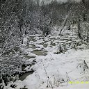 ���� ��������, �������� - ��������� 20 ������ 2015 � ������ ���� ��