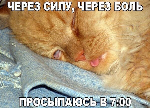    :D - 25  2016  11:03