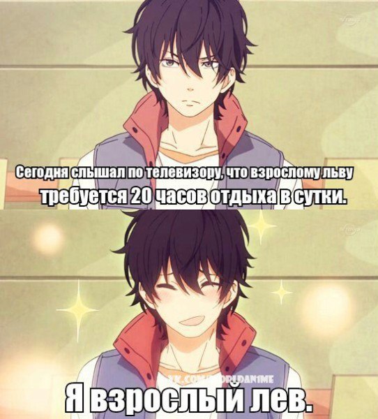  | Anime - 14  2015  15:15