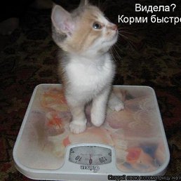  , -, 48  -  18  2015