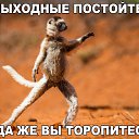 ���� �, ��������, 26 ��� - ��������� 22 ������ 2015 � ������ ������ ��������