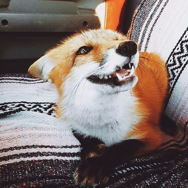 Fashion Club - 30  2016  21:44 - 5