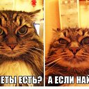  ,  -  3  2015    