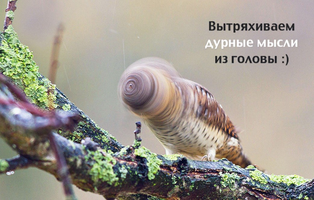   - 24  2015  02:57