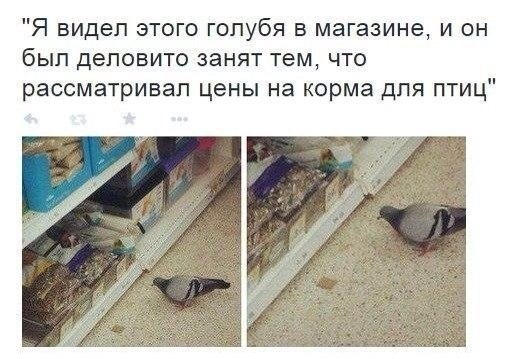  - 15  2015  09:53