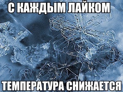   - 1  2016  21:56