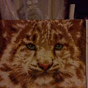 ��� ���� ������ ������� �� ������� ���� ����������