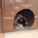 ���� ������, ������, 59 ��� - ��������� 25 ������ 2015 � ������ ���� ����������