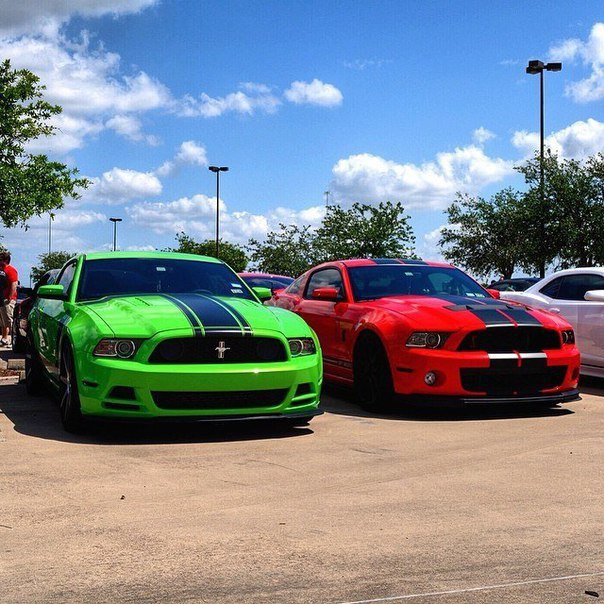  https://fotostrana.ru/away?to=/sl/KiI2 Green 2013 Turbo Boss 302  Mustang Red 2012 GT 500.