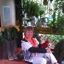 ���� �����, �����, 55 ��� - ��������� 28 ������� 2015 � ������ ���� ����������