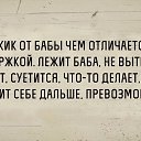 ���� �������, ������, 33 ���� - ��������� 11 ������� 2016 � ������ ������ ��������
