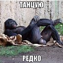 ���� Sergio, ������ �������� - ��������� 10 ������ 2015 � ������ ���� ����������