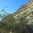 �����.������� 2015�. �� ������� ���� ����������