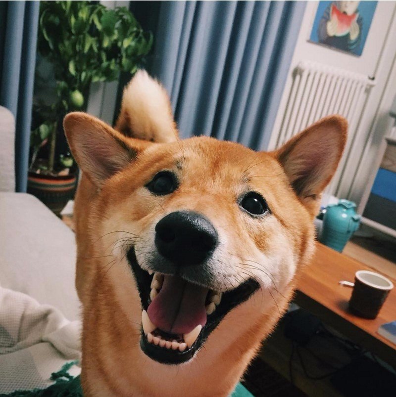 ,  - ,        ! - 8