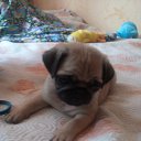 ��� ������� �� ������� ���� ����������