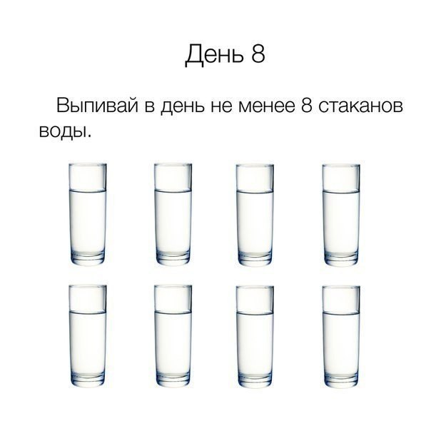     17 .      ,   ... - 8