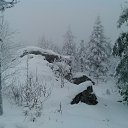 ���� �������, ������������, 37 ��� - ��������� 17 ������� 2015 � ������ ���� ����������