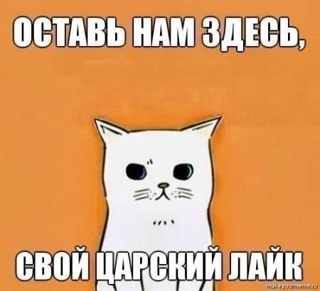    :D - 25  2016  15:36