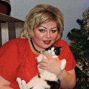 ���� ������, ���������, 51 ��� - ��������� 3 ������ 2016 � ������ ���� ����������