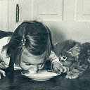   205, , 62  -  30  2015    