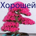 ���� ��������, ��������, 67 ��� - ��������� 24 ������ 2016 � ������ ���������