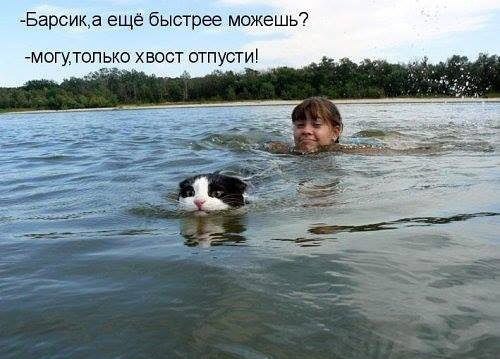          -     " "  -   : http://vk.com/creationoflife - 9  2015  20:27