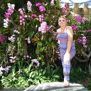  , -, 64  -  11  2016   ,  2016 