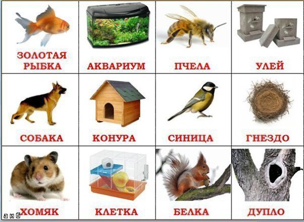 Круглый год. Плакат купить, описание, цены в интернет магазинах