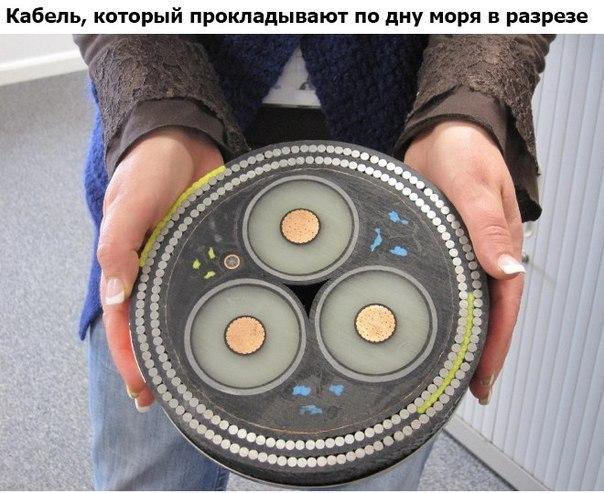 Интересные фотографии, которые вы, возможно, не видели. - 5