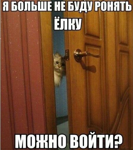 -  - 6  2016  17:48