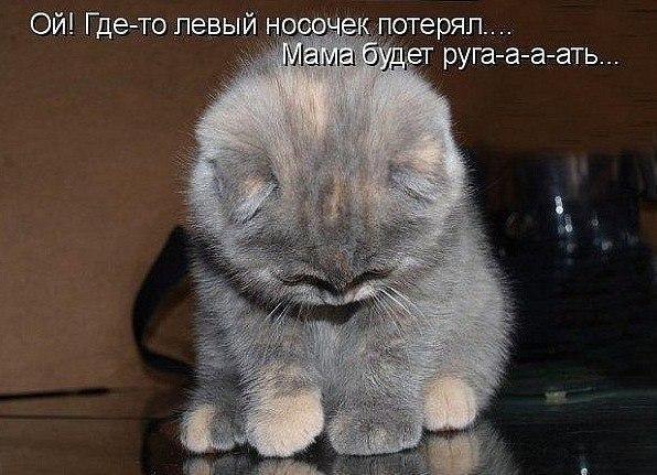    :D - 11  2016  16:08