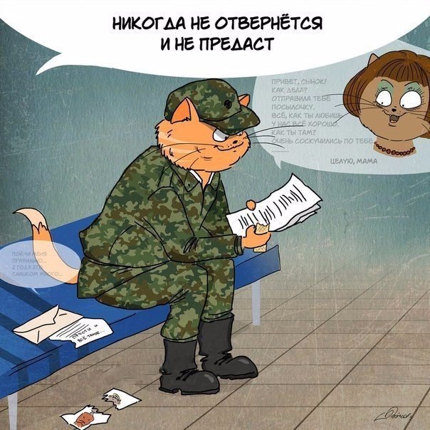    ) - 5