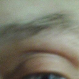 ���� ��������, ������� - ��������� 14 ������� 2016