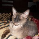 ���� ������, ���������, 45 ��� - ��������� 11 ������ 2016 � ������ ������