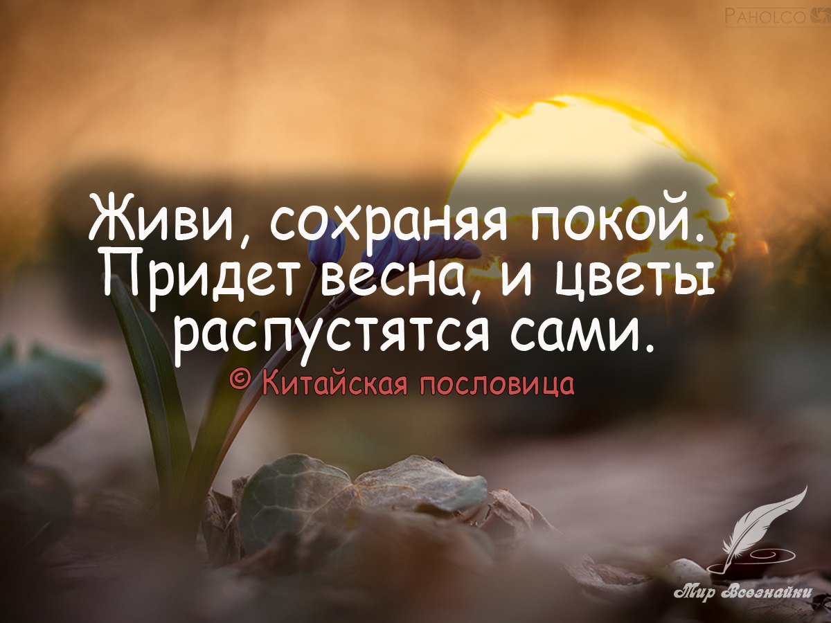        ,      - <a href=