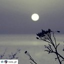 ���� ������, ������ ��������, 41 ��� - ��������� 3 ������ 2015 � ������ ������ ��������