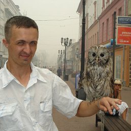 �������, ���������, 44 ����