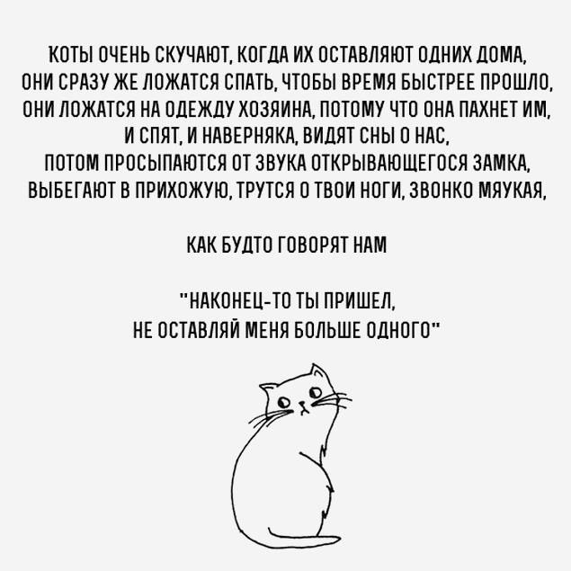       - 11  2015  22:31