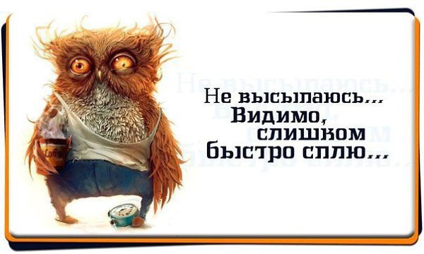  - ,  - 23  2015  19:15
