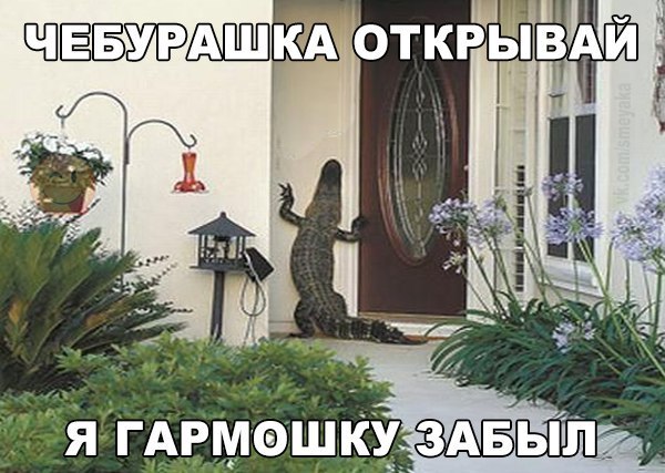  - 6  2015  23:03