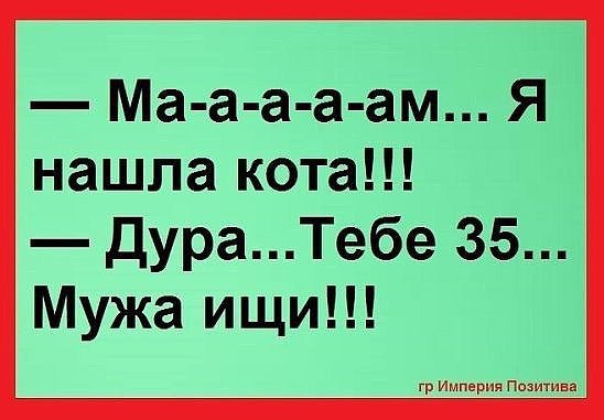  - ,  - 23  2016  06:24