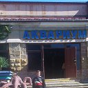 ���� �����, ���������, 68 ��� - ��������� 28 ������ 2015 � ������ ������ ��������