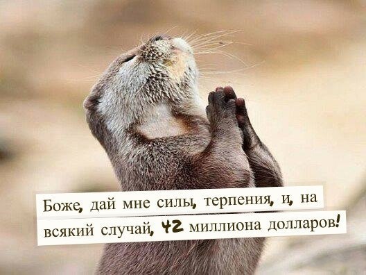 BEST | , ,  - 10  2015  10:58