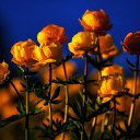  ,  , 63  -  3  2016      ,...