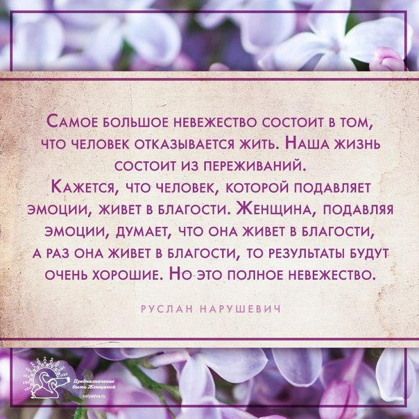   <a href=