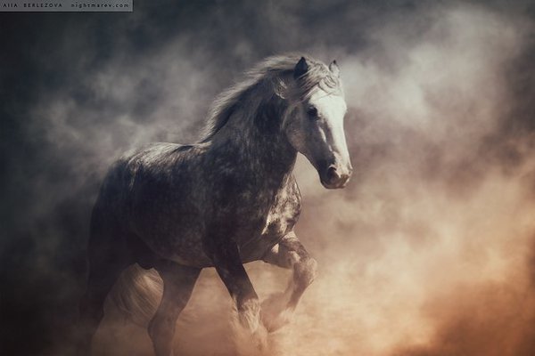 ����� ������� - 27 ������� 2016 � 17:15