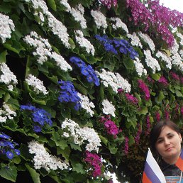 ������, �����������, 47 ���